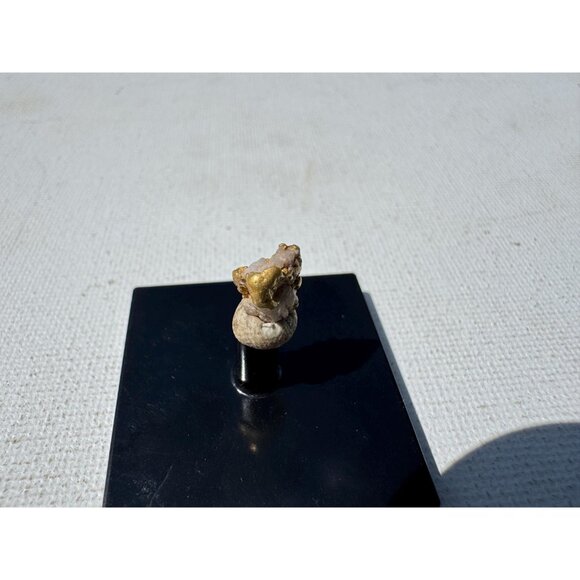 Gold on Quartz - Natural California Gold Specimen in Perky Display Box #2 - Picture 2 of 6